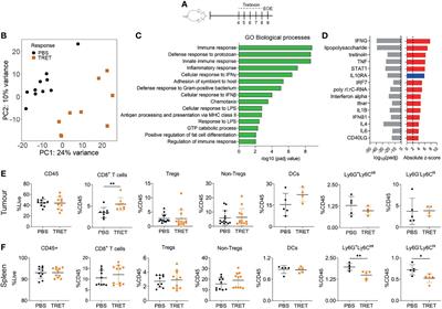 Retinoic Acid Induces an IFN-Driven Inflammatory Tumour Microenvironment, Sensitizing to Immune Checkpoint Therapy